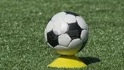 CCTV5直播：浙江迎战深圳，拜合拉木未出场，王钰栋对垒安永佳，埃杜挑战布彭扎